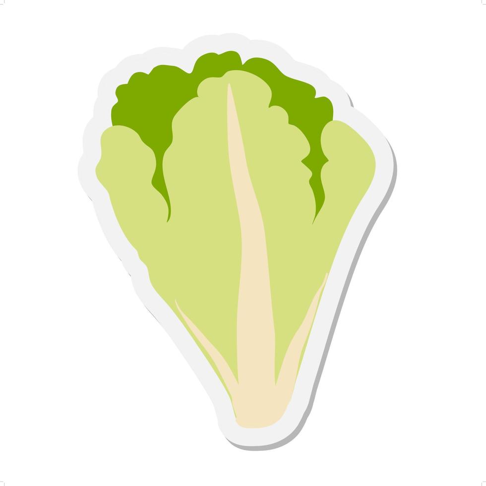 Lettuce leaves sticker vector
