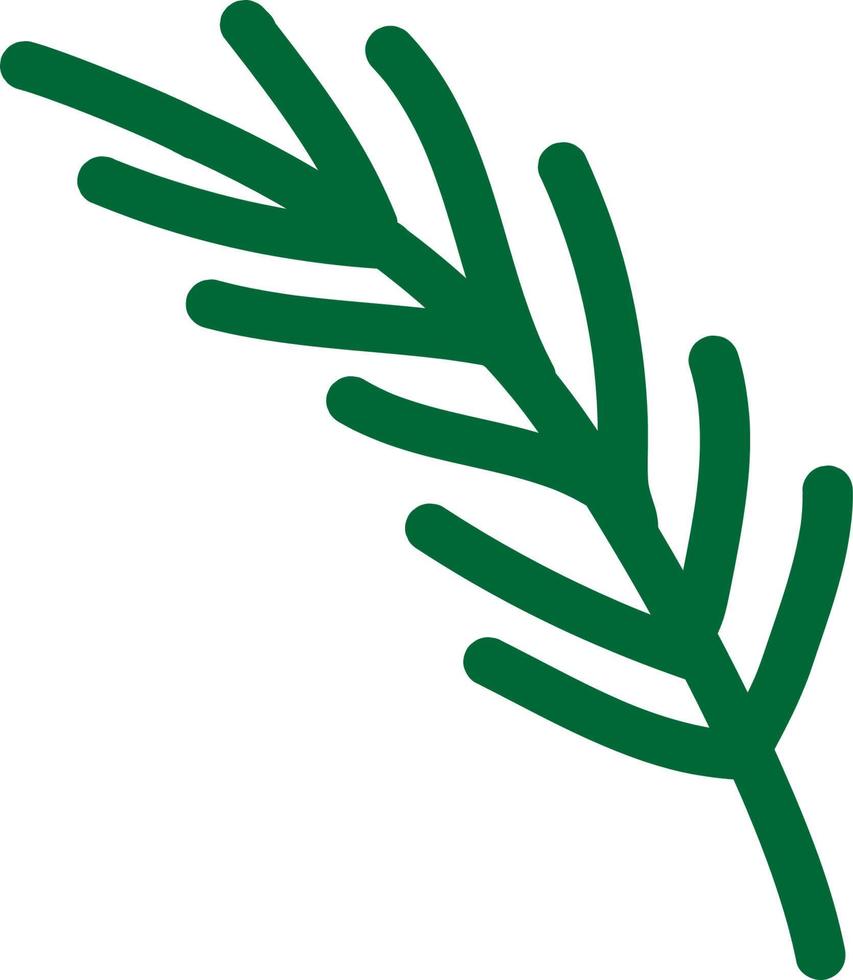 Pine Twig vectior vector