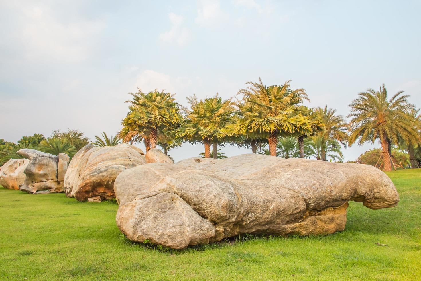 paisaje de rocas y arboles foto