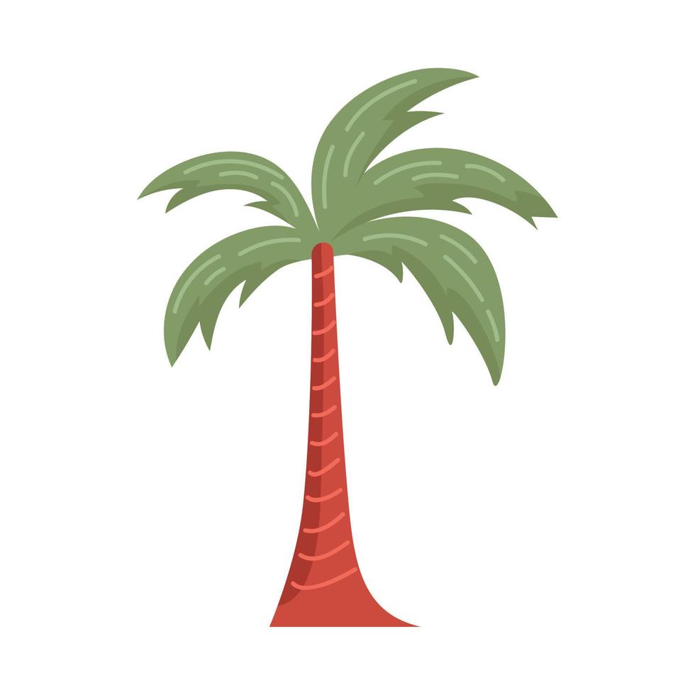 tropical tree palm vector
