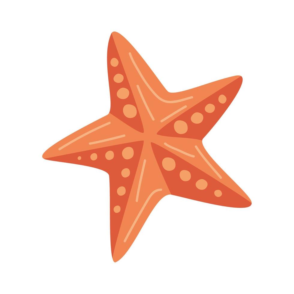 starfish sealife animal vector