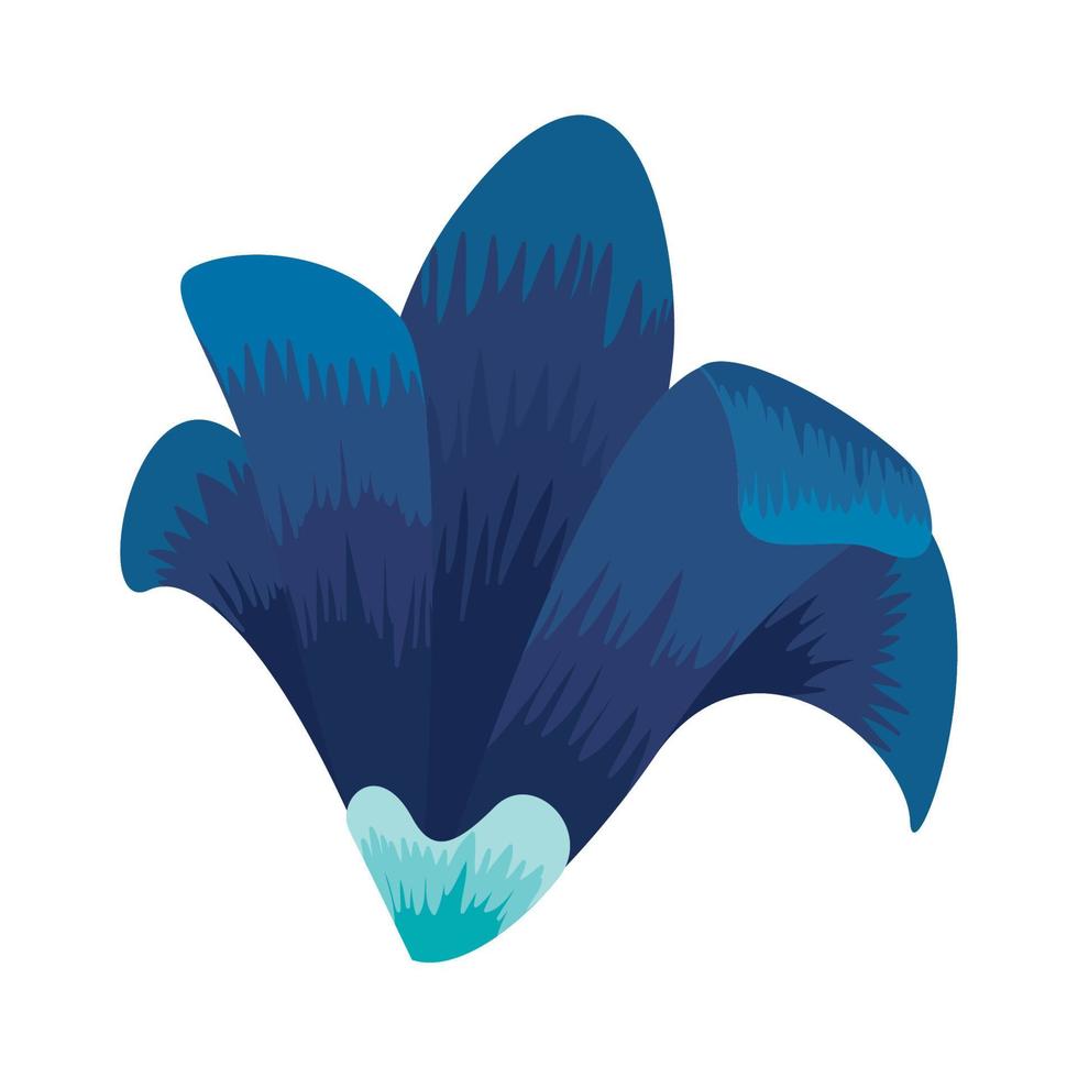 natural flower blue color vector