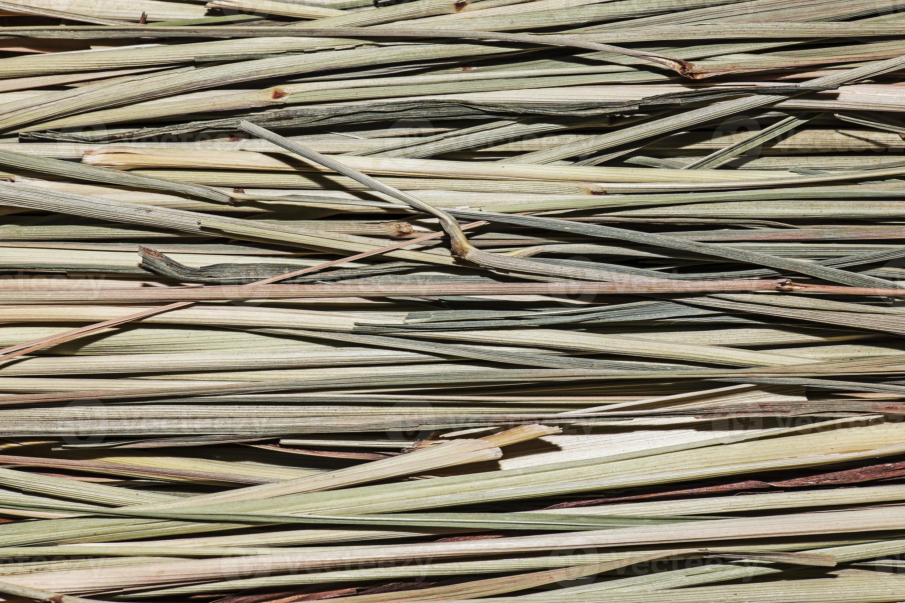Background texture of organic tea with lemongrass. Tea does not contain caffeine. Tea has a