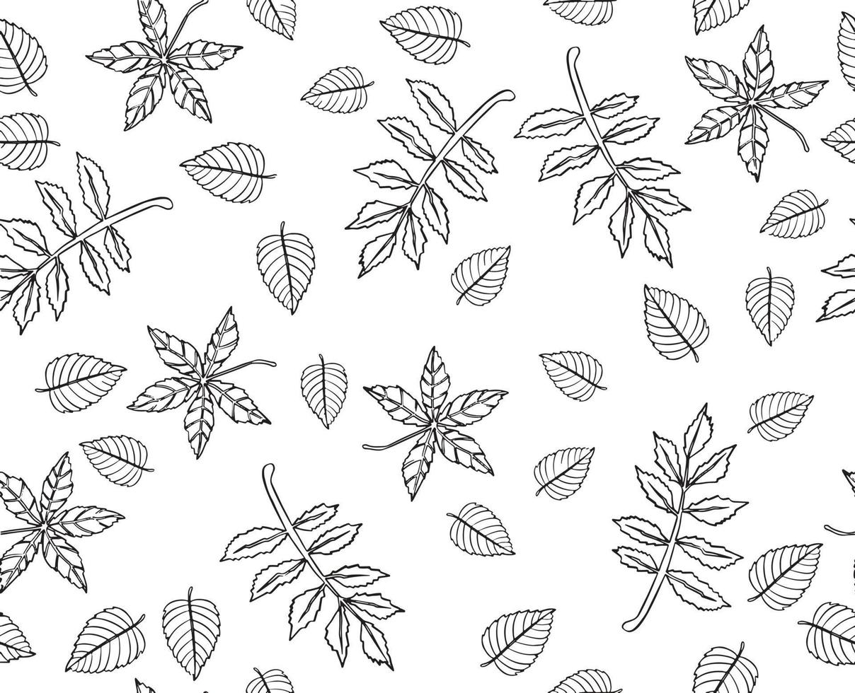 Autumn leaves pattern, seamless background and illustration vector