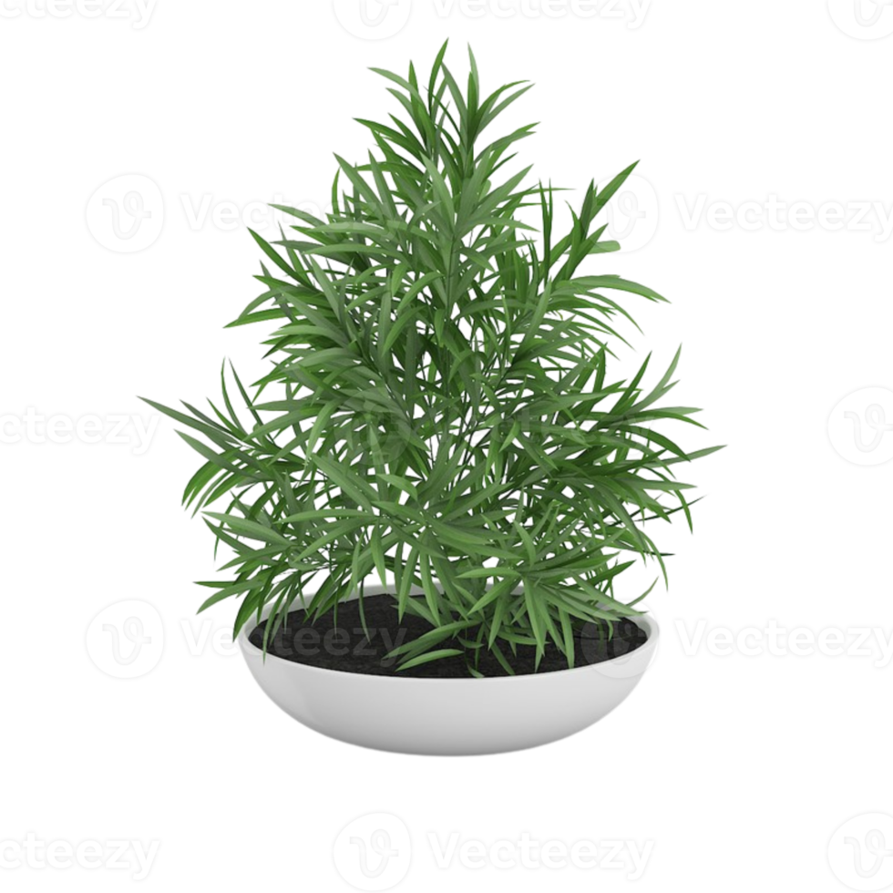 planta de casa tropical verde em uma panela isolada em fundo transparente png