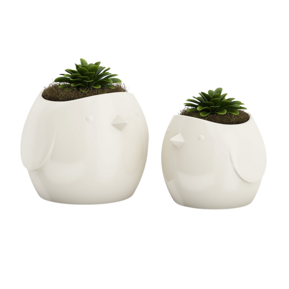 succulente verte dans un pot isolé sur fond transparent png