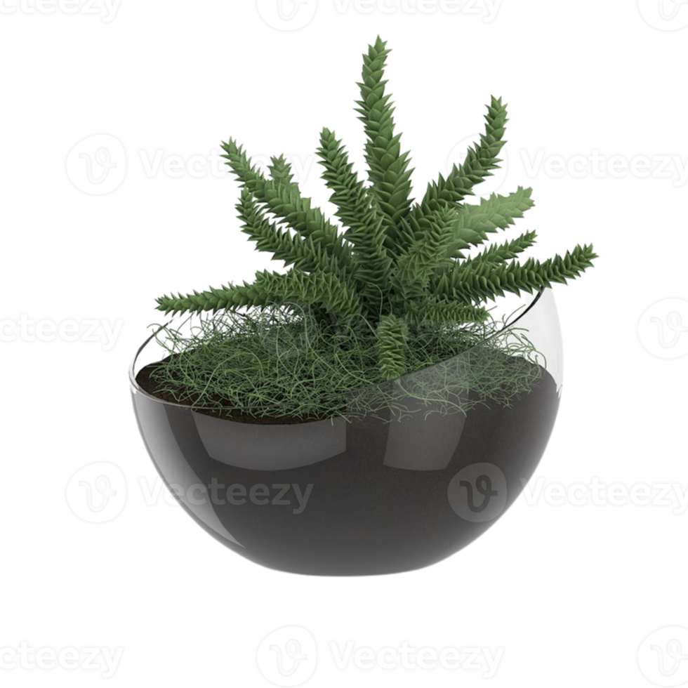 green tropical houseplant in a pot isolated on transparent background png