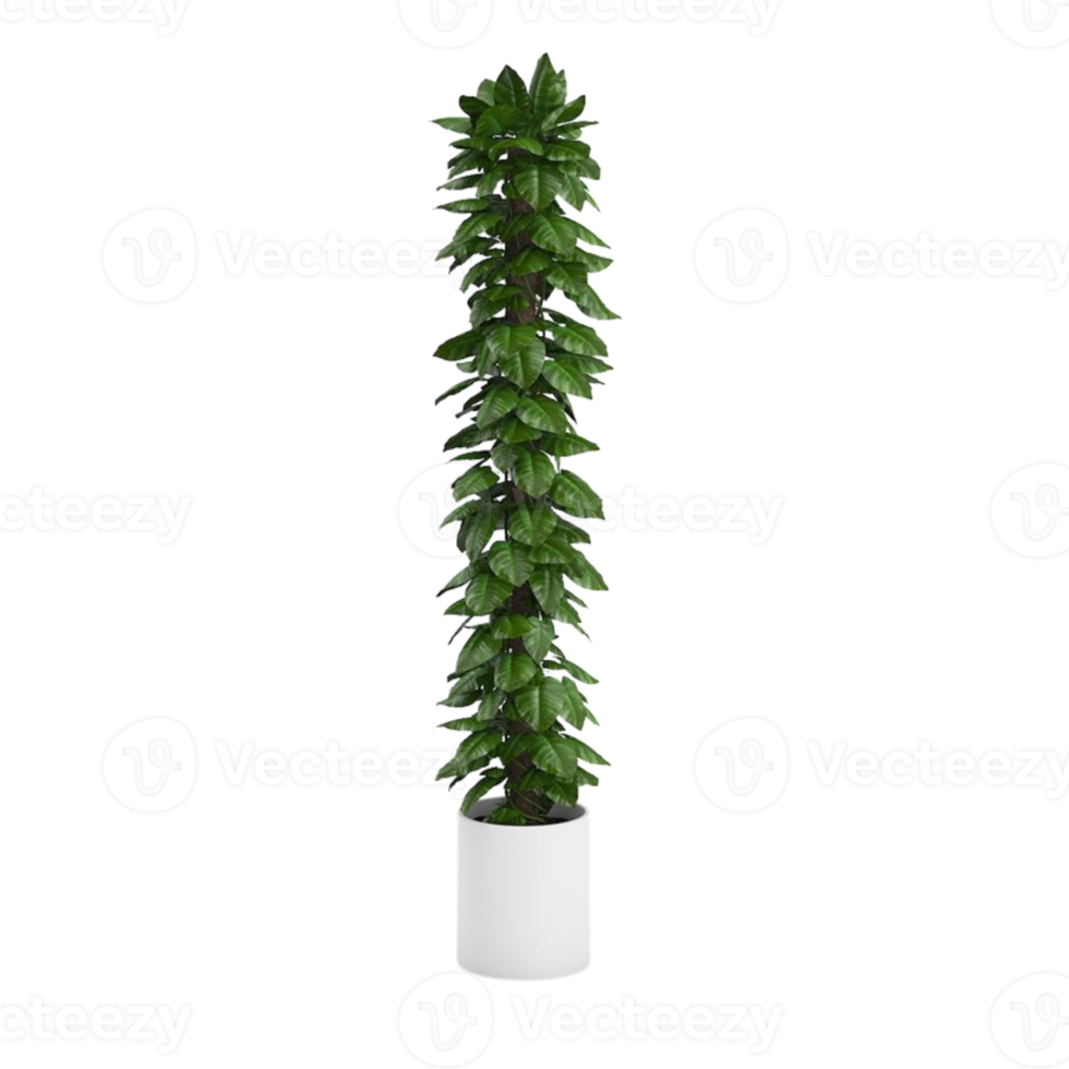 green tropical houseplant in a pot isolated on transparent background png