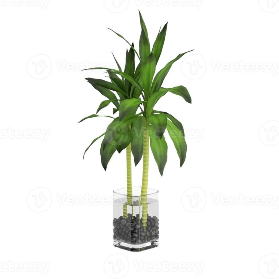 planta de casa tropical verde em uma panela isolada em fundo transparente png