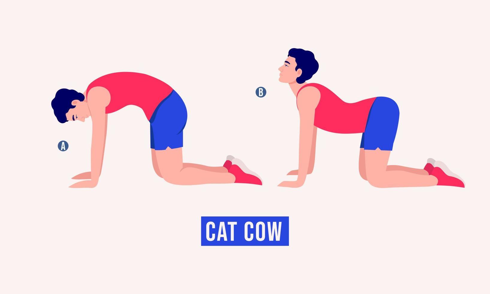 Cat Cow exercise, Men workout fitness, aerobic and exercises. vector