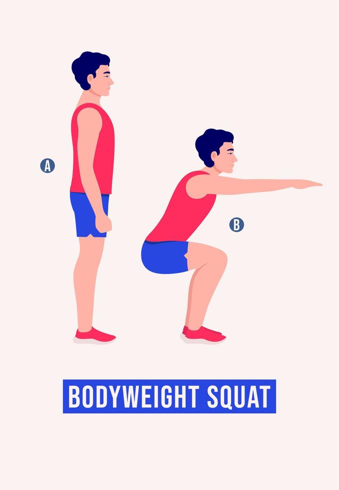 Bodyweight Squat exercise, Men workout fitness, aerobic and exercises. vector