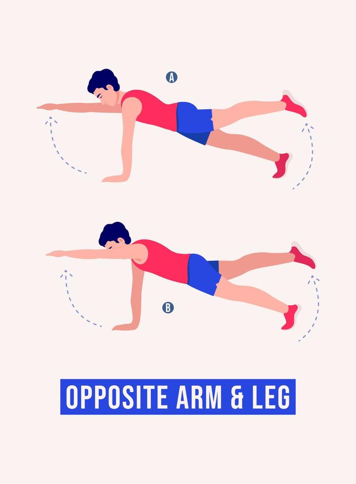 ejercicio de brazo y pierna opuestos, entrenamiento de hombres, aeróbicos y ejercicios. vector