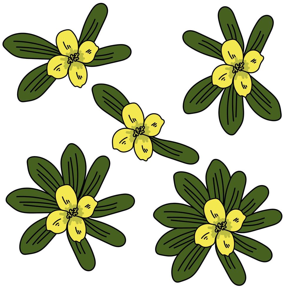 Set of bunches of green leaves with a yellow flower in the center, a simple bright flower of four petals and oval oblong leaves vector