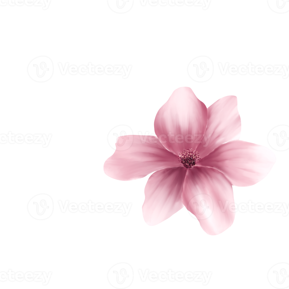 waterverf kers bloesems png