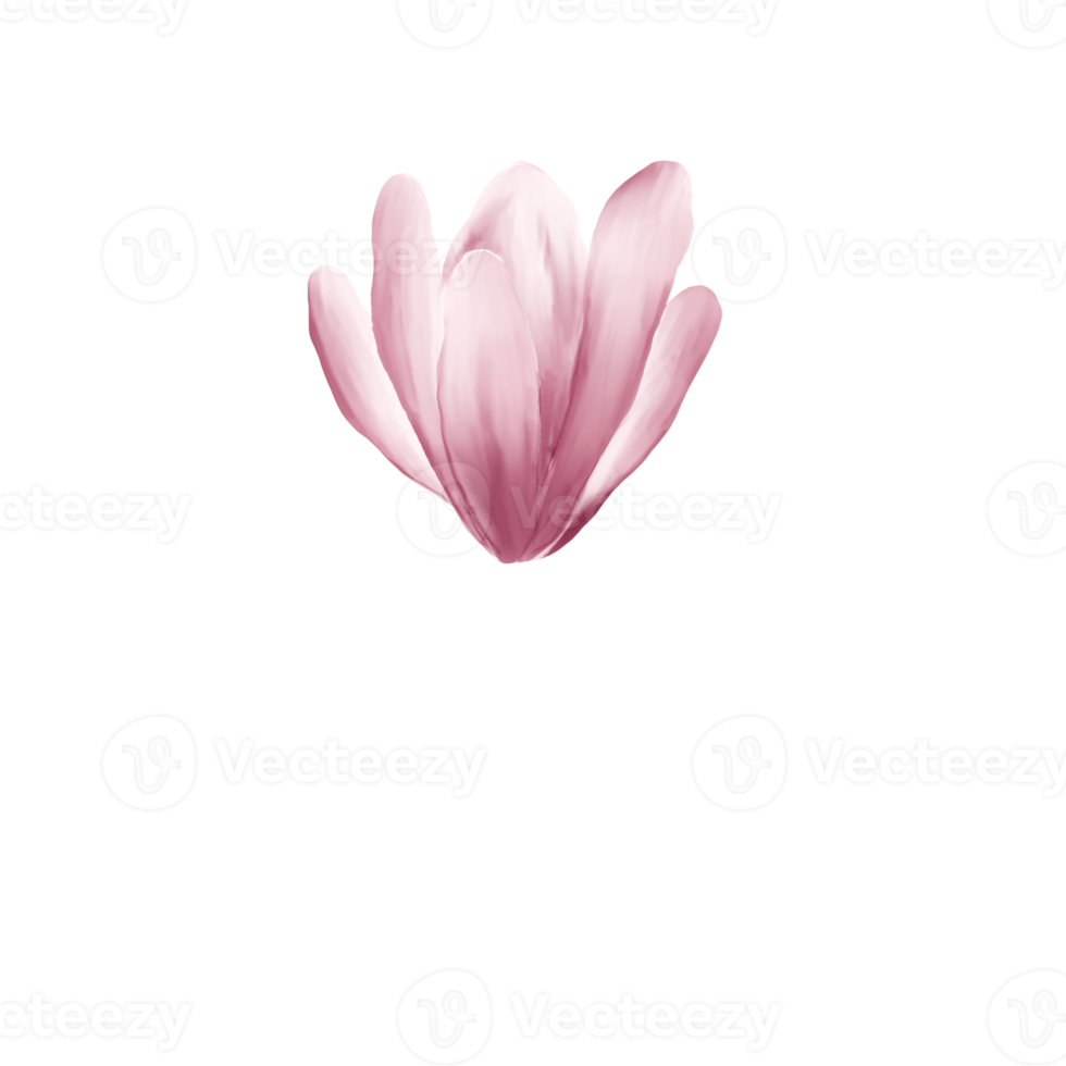 waterverf kers bloesems png