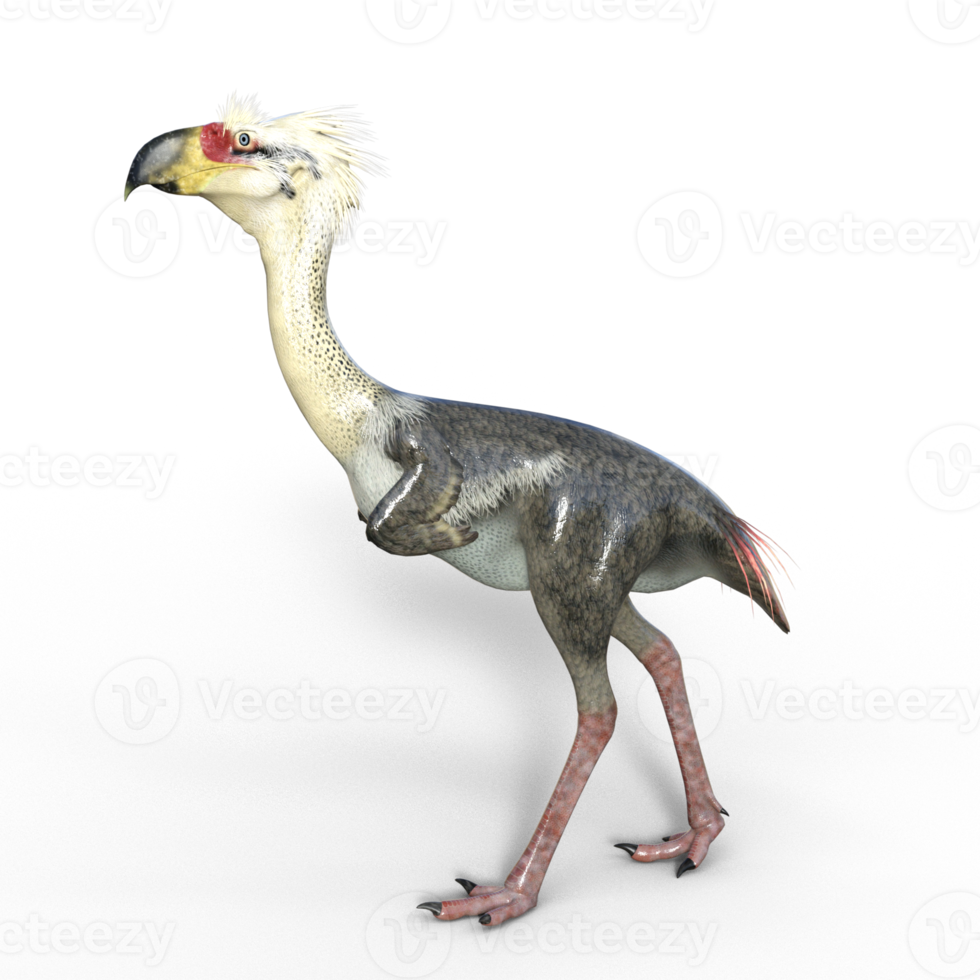 Phorusrhacos 3d model illustrations png