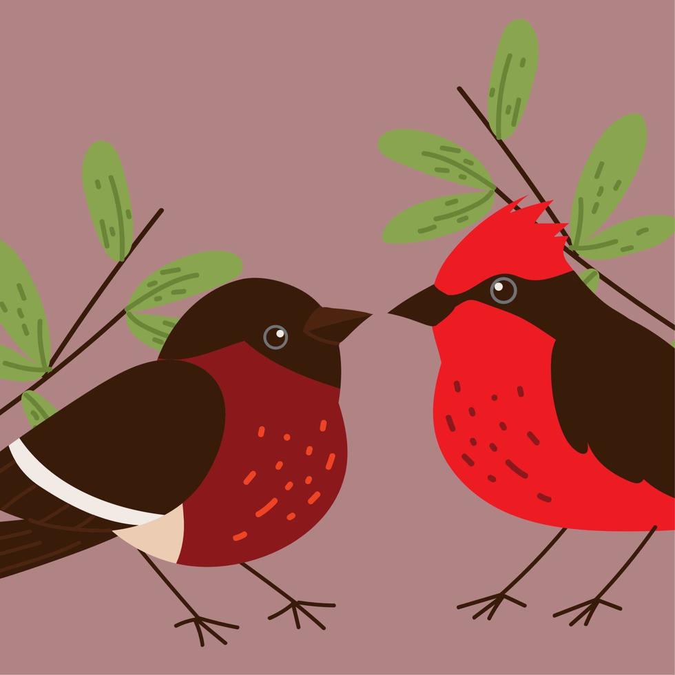 dos pájaros y plantas vector