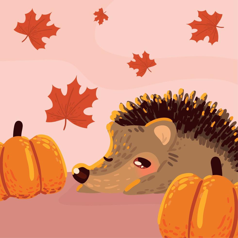 hedgehog autumn pumpkins vector