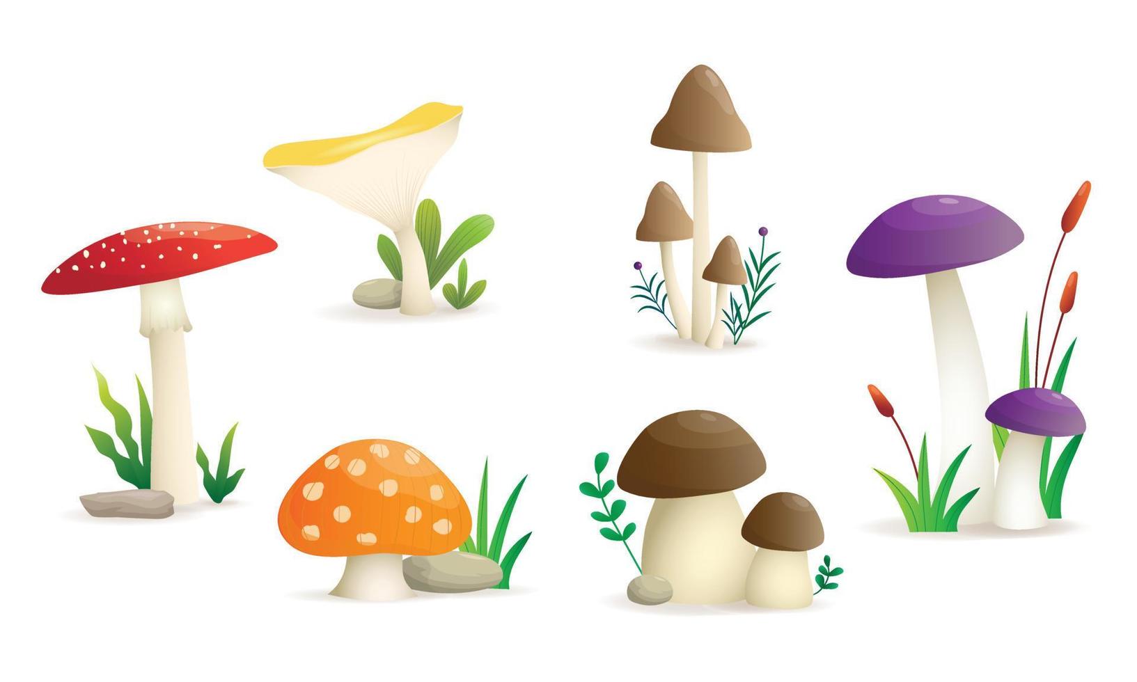 Wild Mushrooms Set Illustration, Isolated Six Types of Mushrooms on A White Background vector