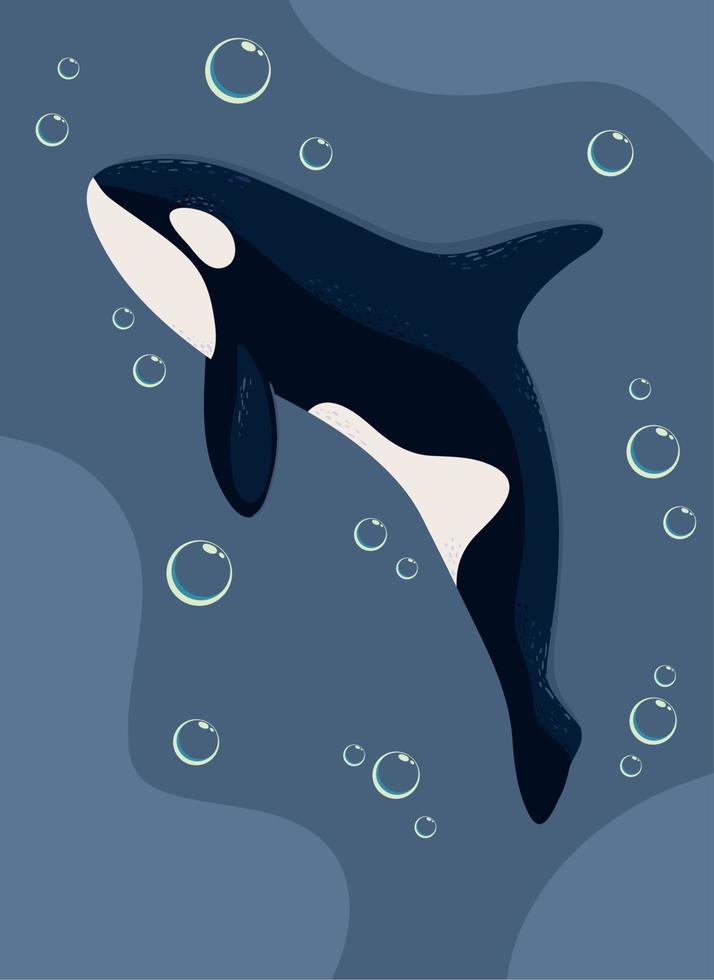 orca whale with bubbles sea vector