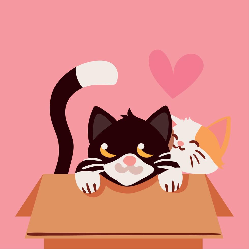 cats in the box vector