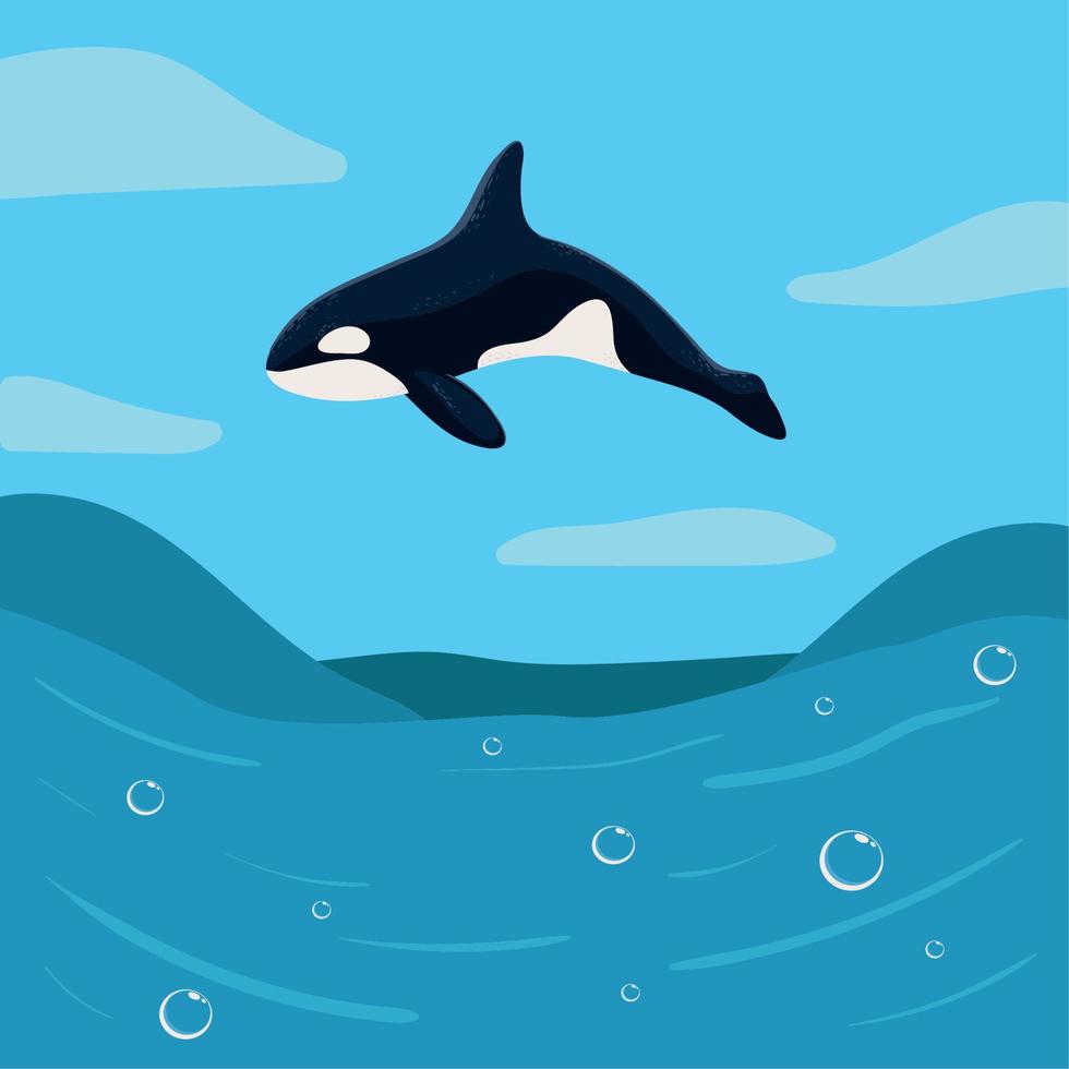 orca whale on ocean vector