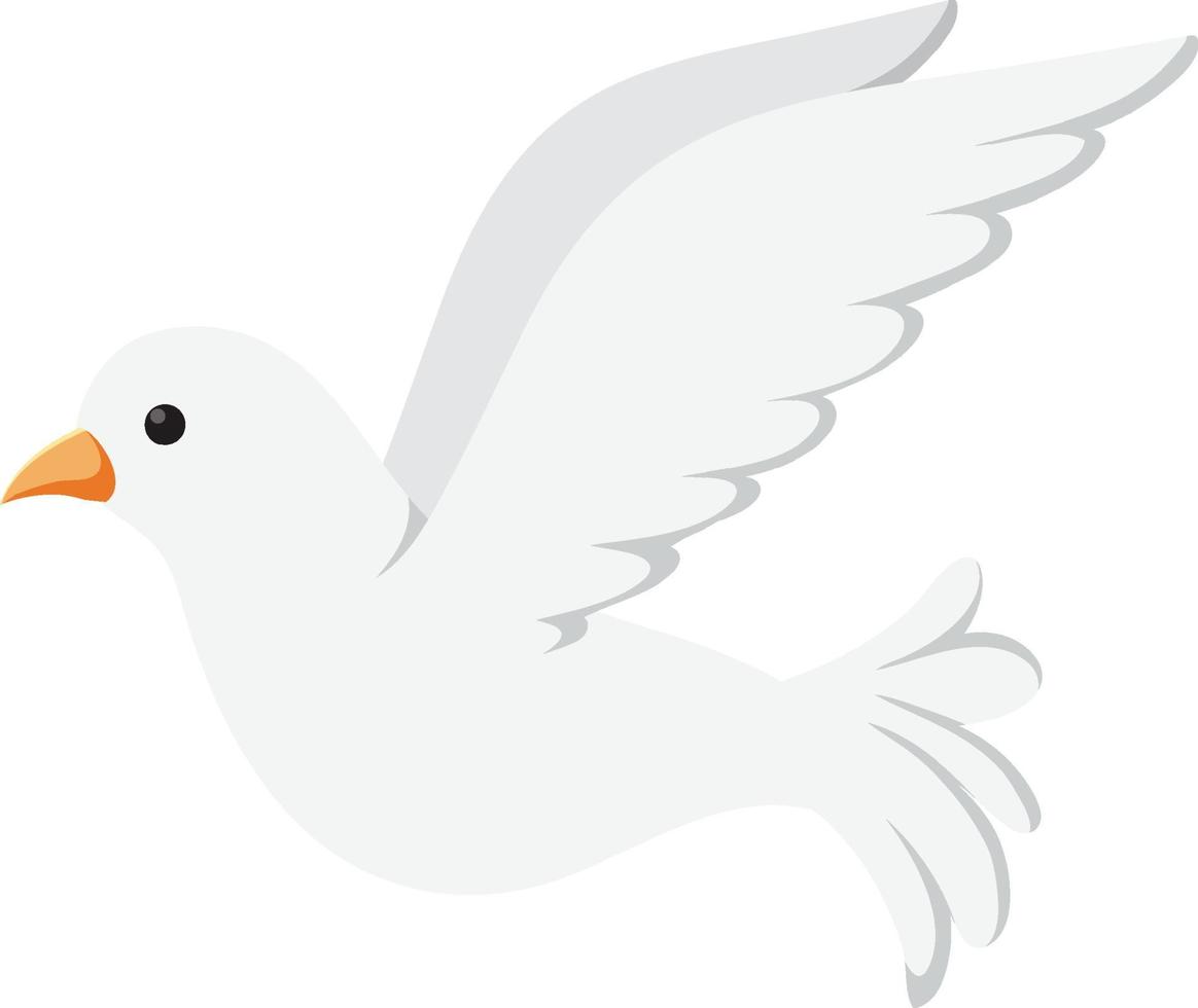 White dove bird isolated vector