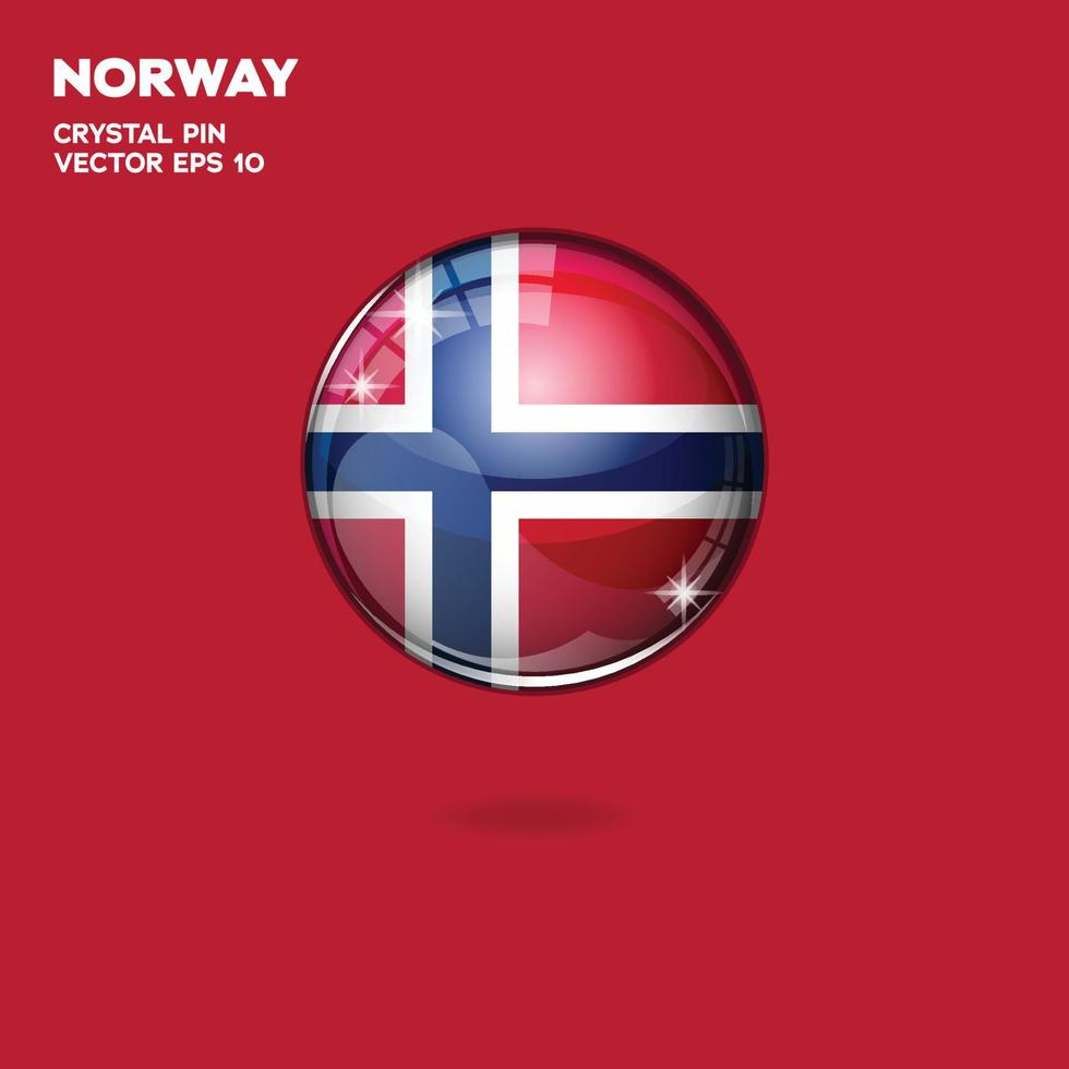 botones 3d de la bandera de noruega vector