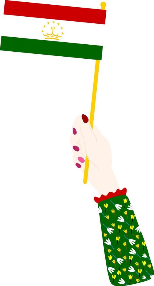 Tajik flag vector hand drawn,Tajikistani somoni vector hand drawn