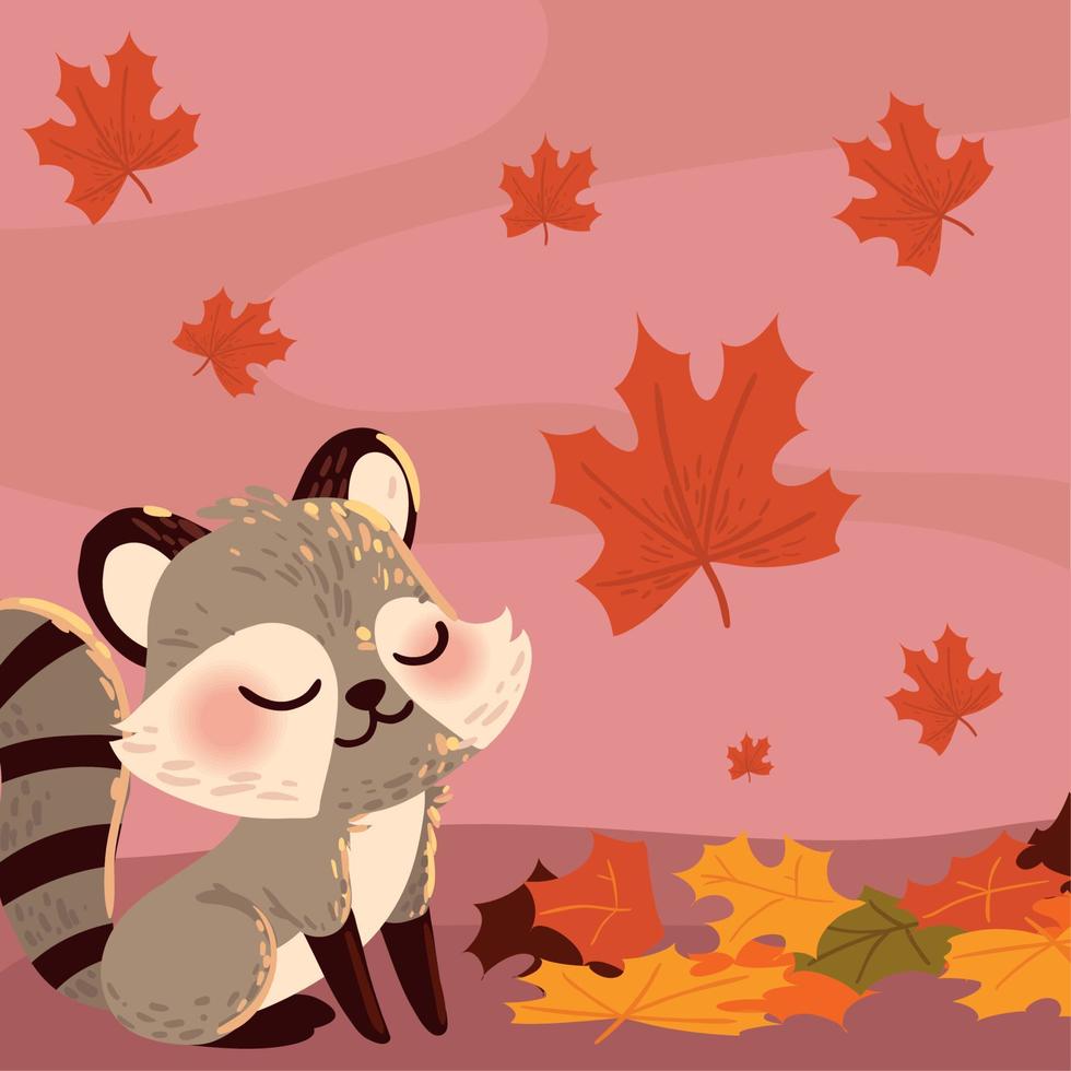 funny raccoon and autumn leaves vector