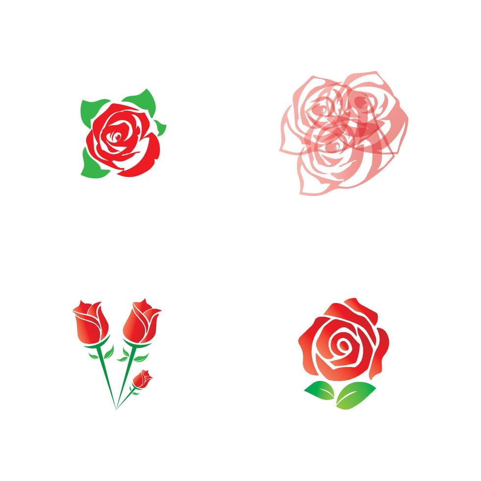 Beauty rose flower vector icon design template