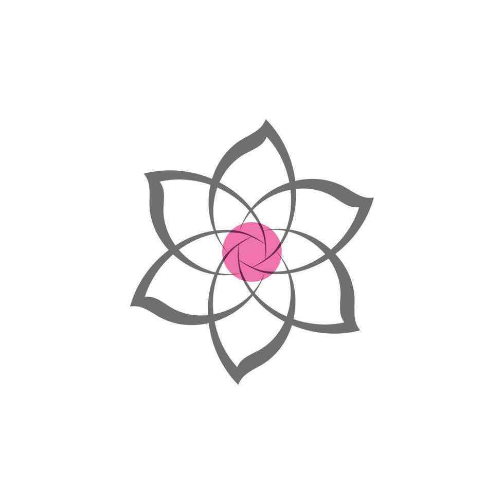 Beauty plumeria icon flowers design illustration Template vector
