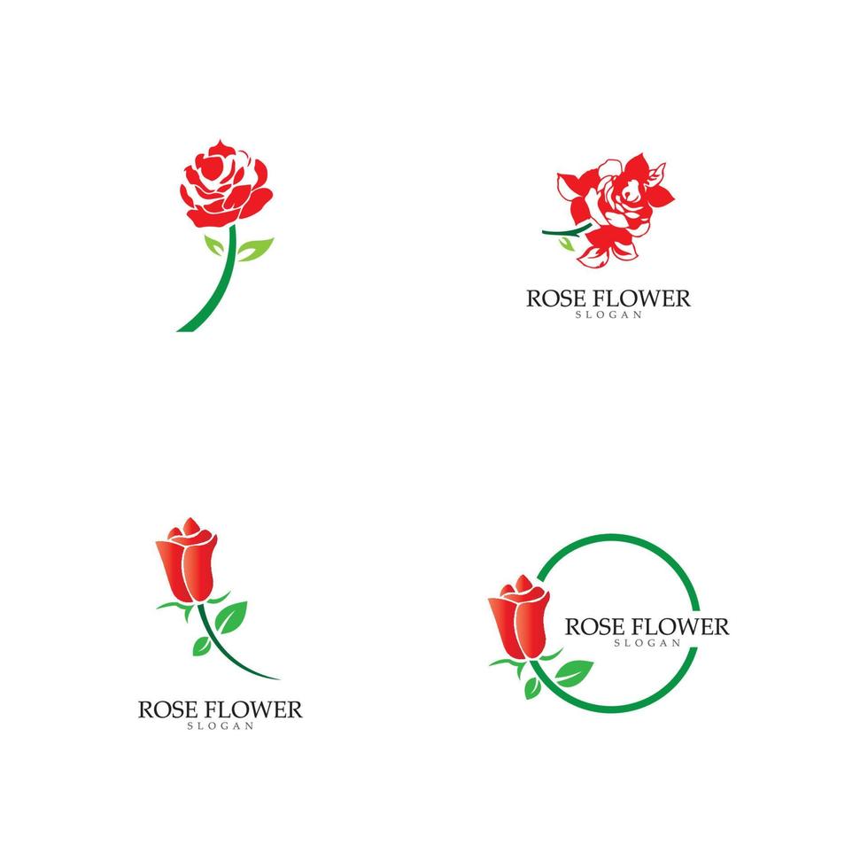 Beauty rose flower vector icon design template