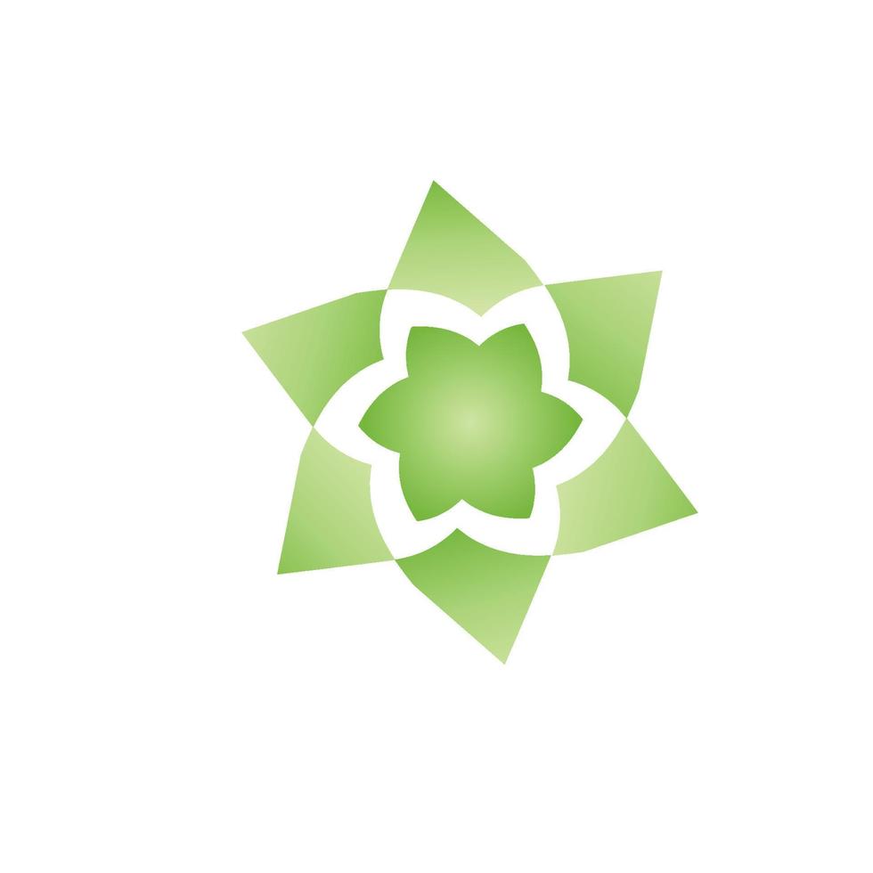 Beauty plumeria icon flowers design illustration Template vector