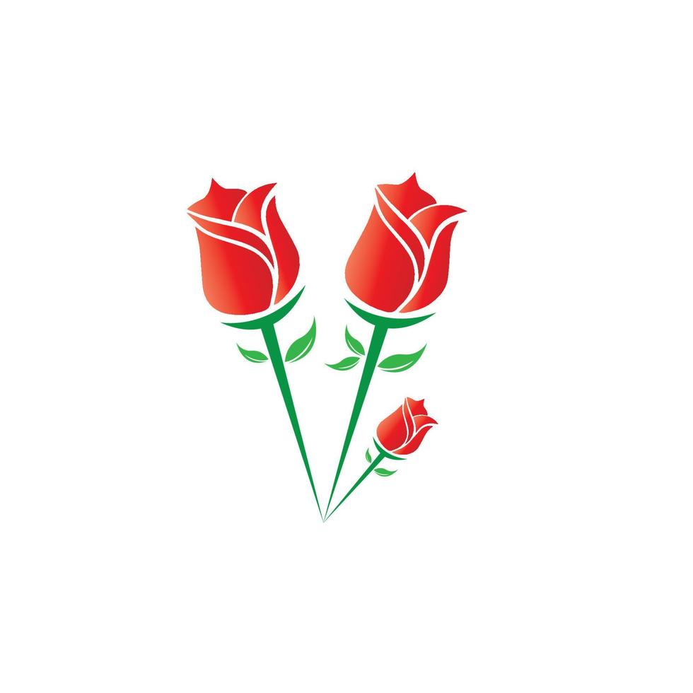 Beauty rose flower vector icon design template