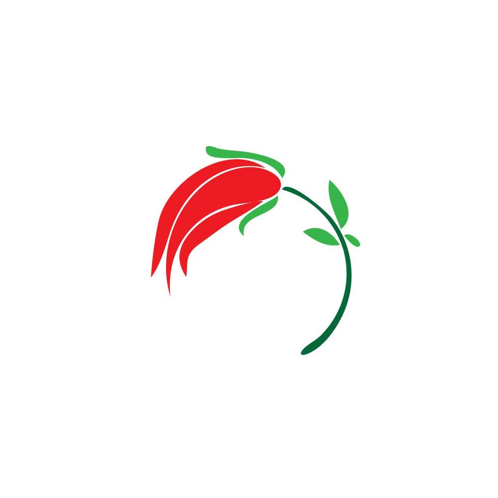 Beauty rose flower vector icon design template