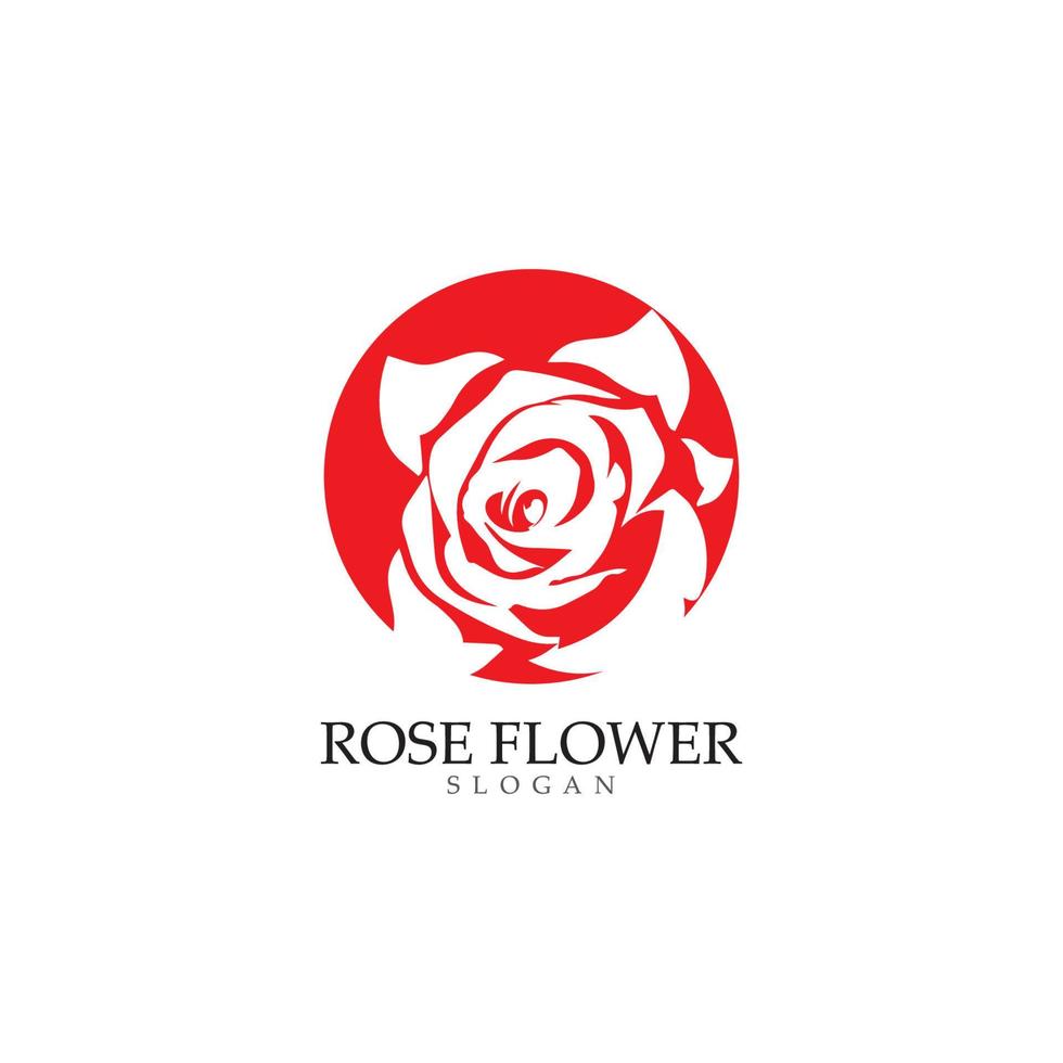 Beauty rose flower vector icon design template