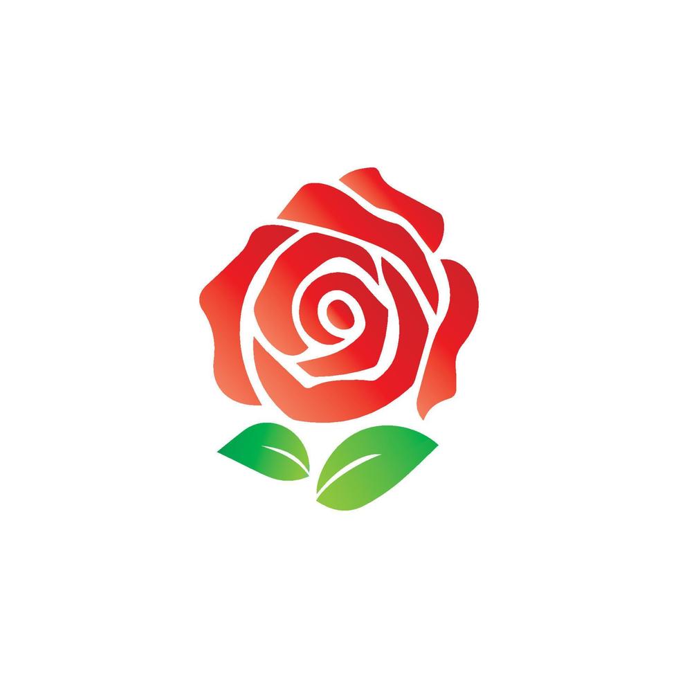Beauty rose flower vector icon design template