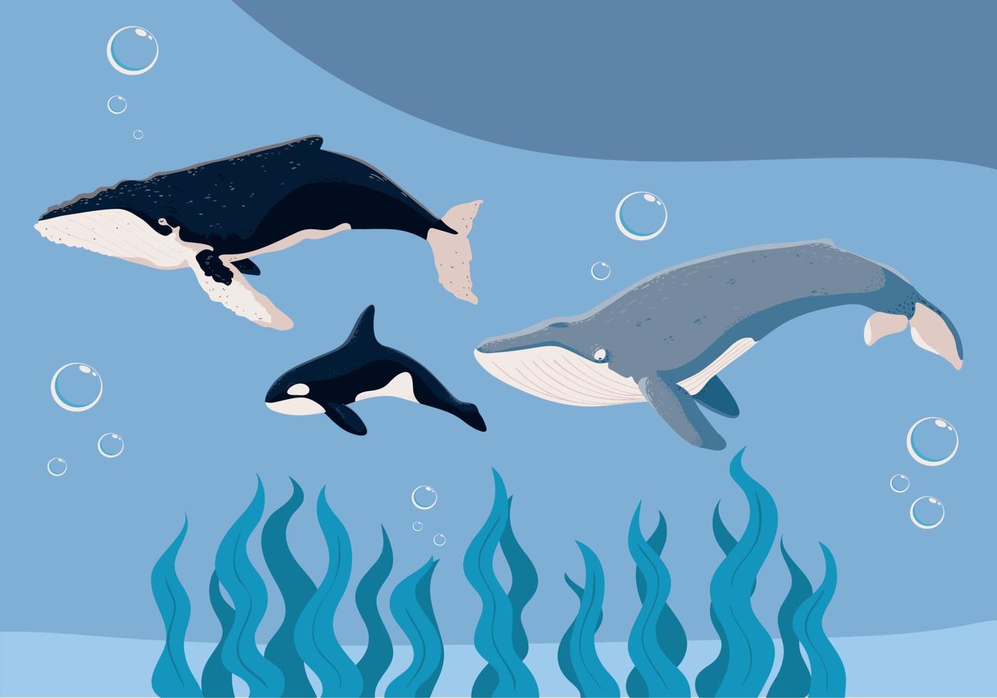 undersea whales and seaweeds vector