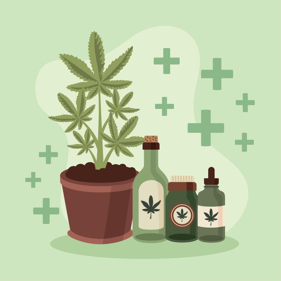 plantas y botellas de cannabis medicinal vector