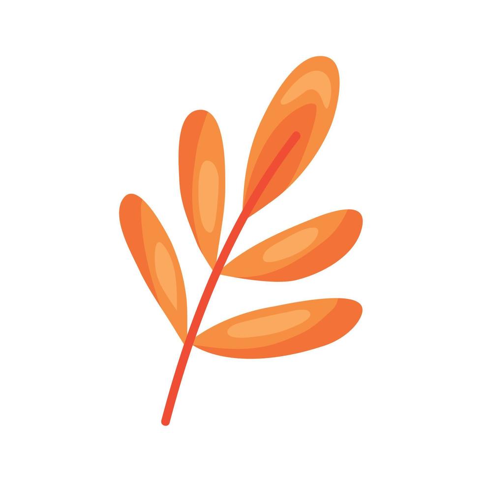 orange branch with leafs vector