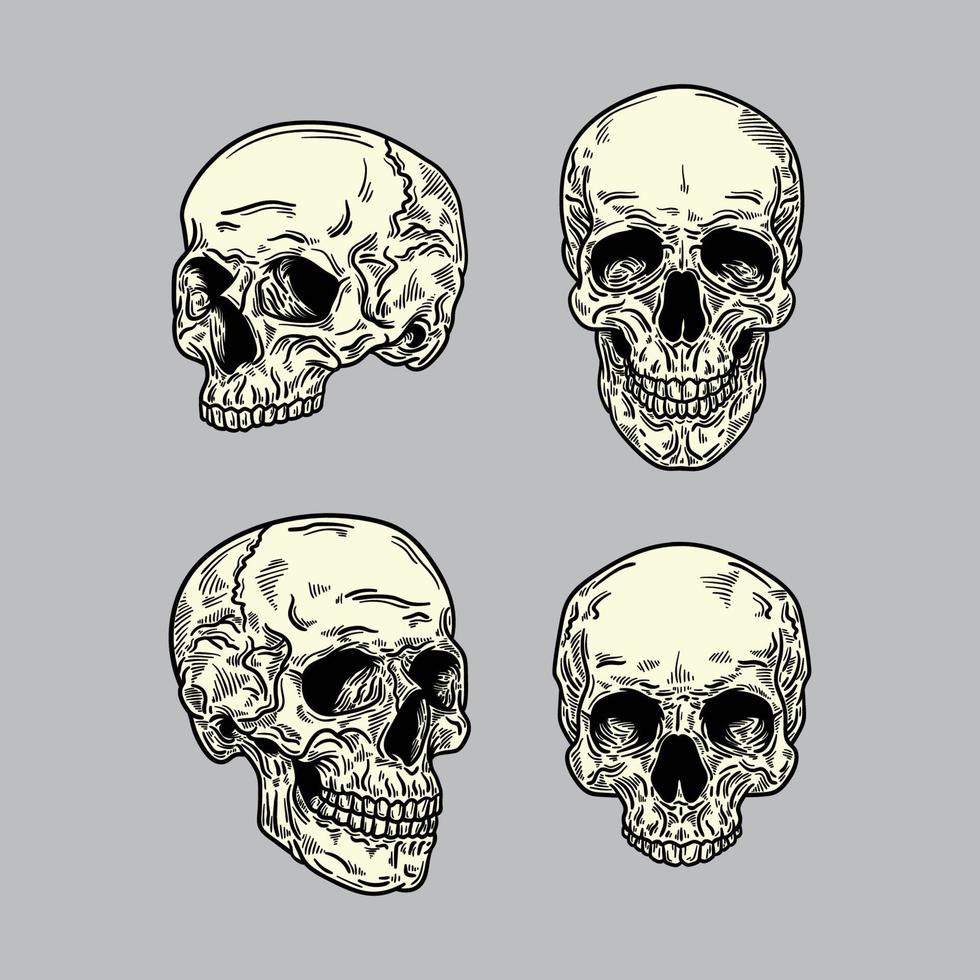 calaveras realistas dibujadas a mano vector