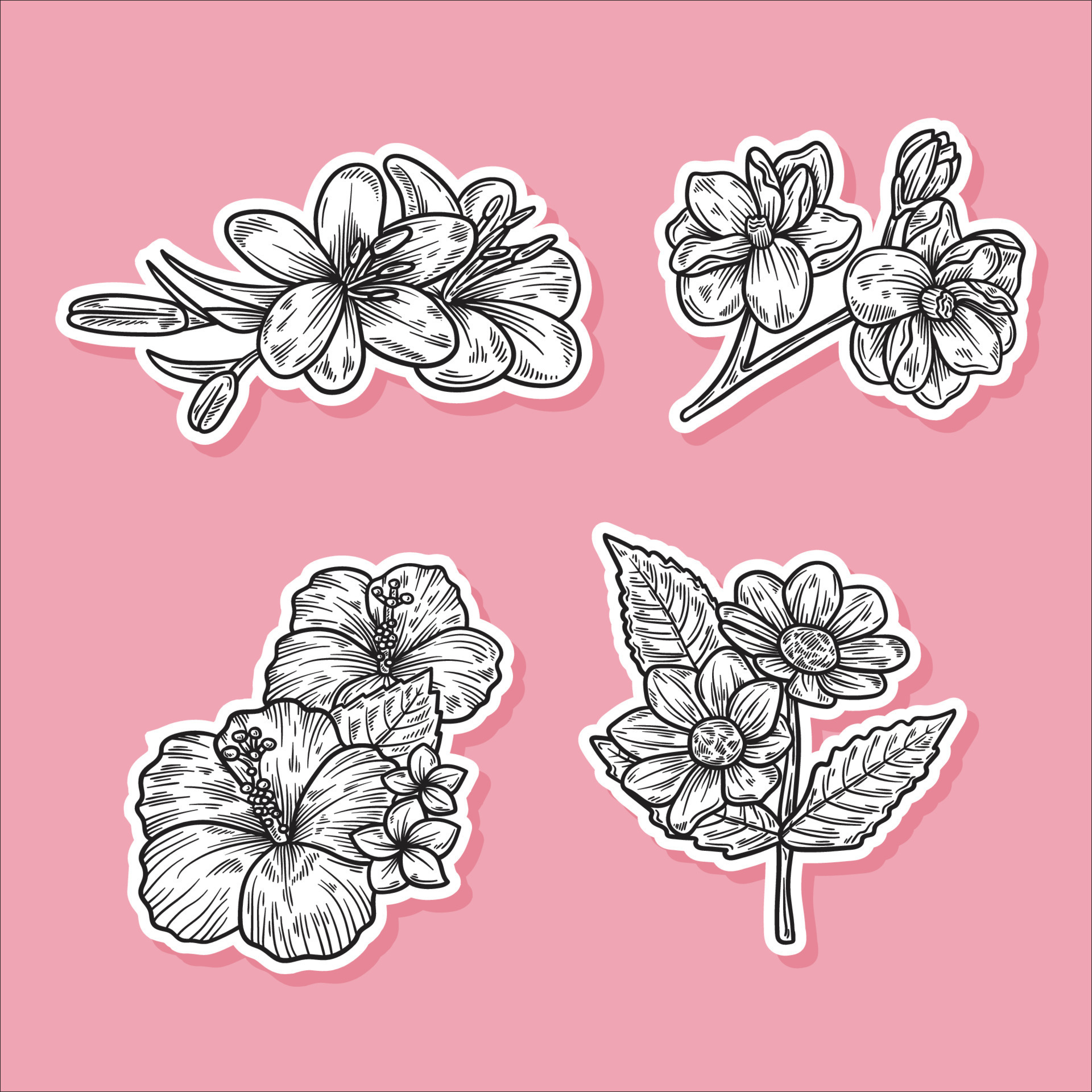 Realistic Flower Vector Art, Icons, and Graphics for Free Download