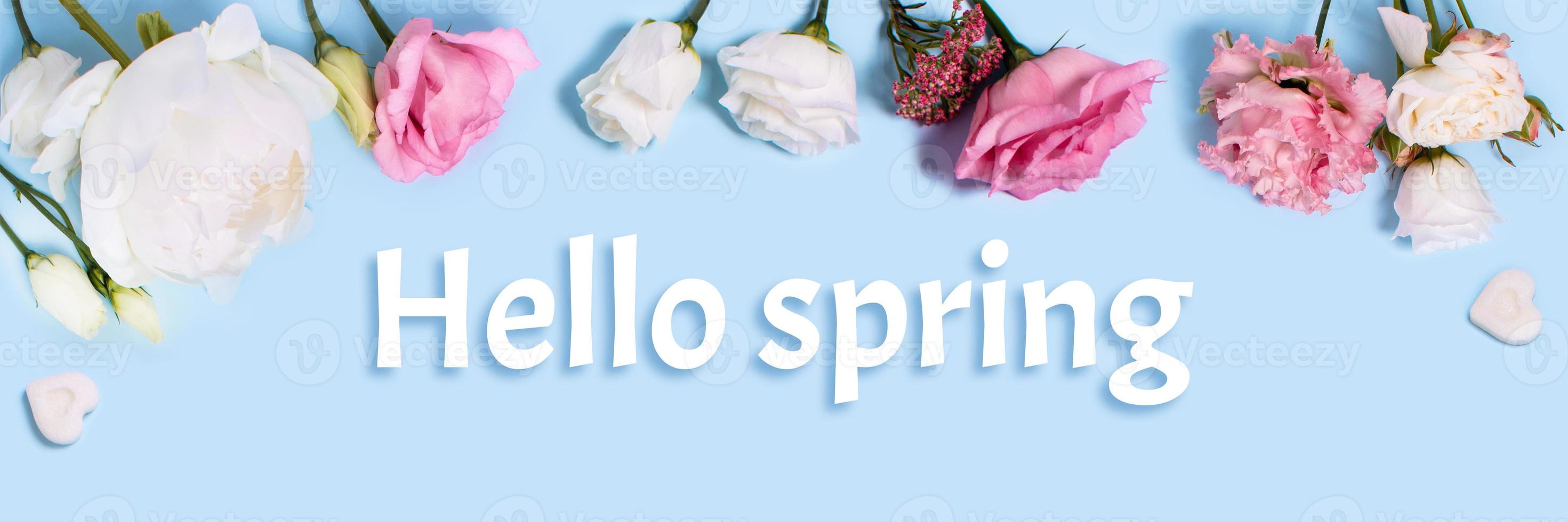 Web banner with roses, ranunculus, and pieces of sugar in the form of hearts and the inscription Hello Spring photo