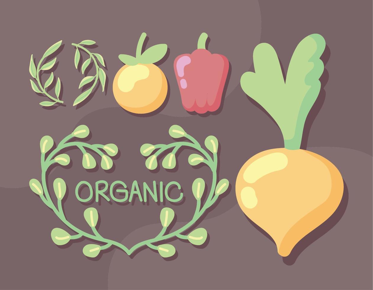 food fresh and organic vector