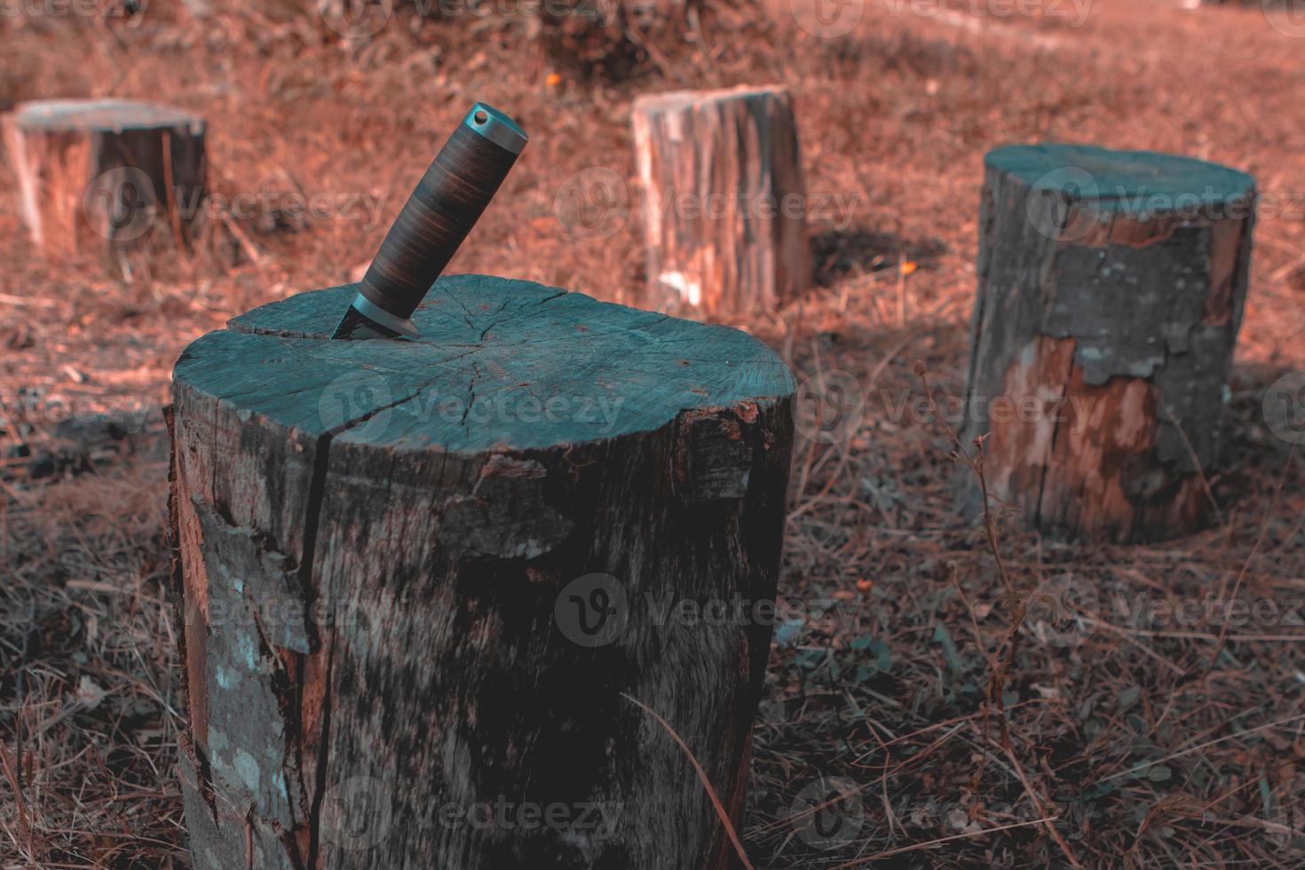 Hunting knife on a wooden surface photo