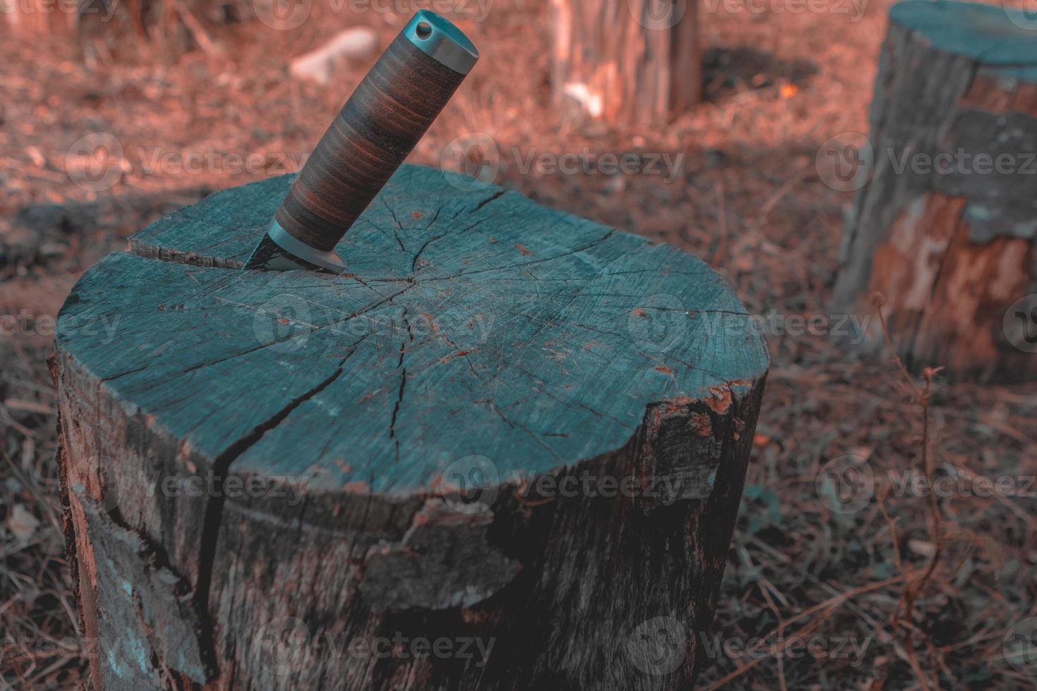 Hunting knife on a wooden surface photo