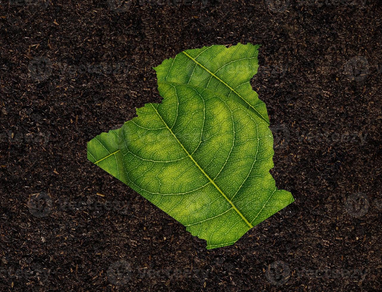 Algeria map made of green leaves on soil background ecology concept photo