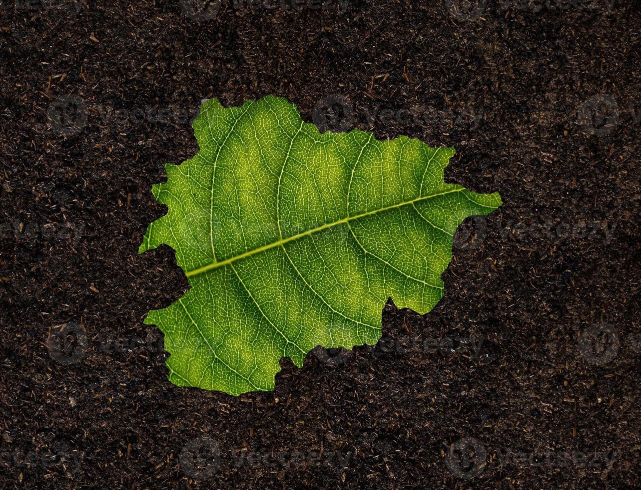 Andorra map made of green leaves on soil background ecology concept photo