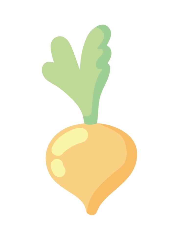 icono de vegetales de cebolla vector